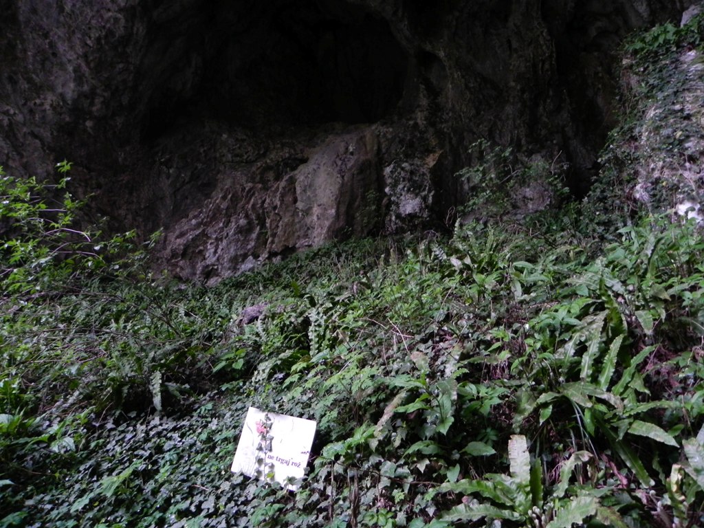 Skocjan Caves 3